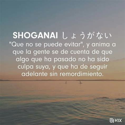 shoganai significado|Qué Es Shoganai: La Filosofía Japonesa Para Aceptar...